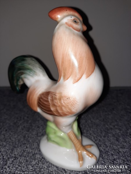 Nice aquincum rooster