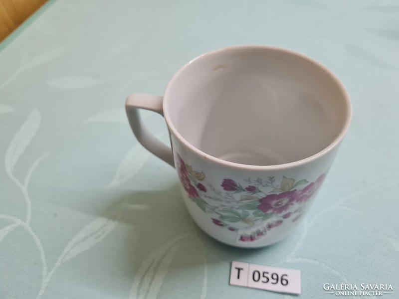 T0596 royal dux Bohemian mug