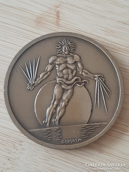 Miklós Borsos International Congress of Physiological Sciences 1980 bronze commemorative medal