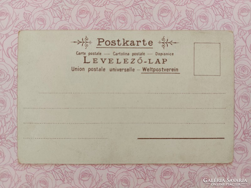 Régi képeslap levelezőlap tájkép szarvas vadkacsa