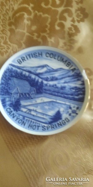 British columbia Japanese plate damaged 19 cm