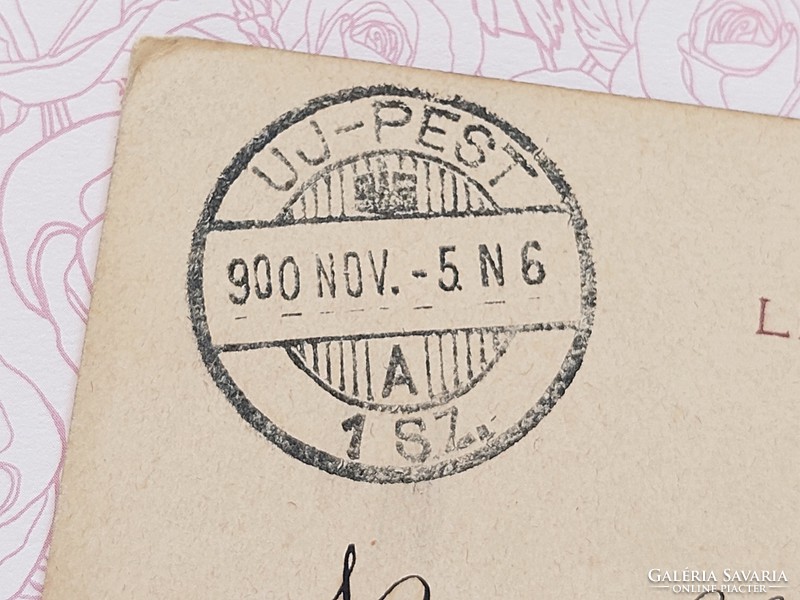 Régi képeslap 1900 levelezőlap szegfű