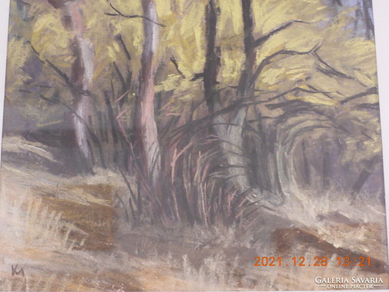 Kiss Márton - Somvirágos erdő című festménye