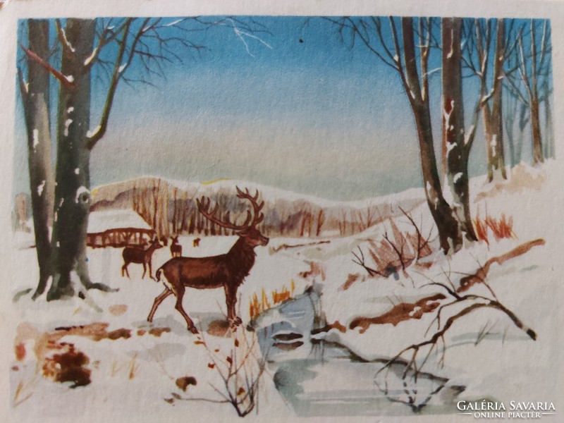 Old Christmas postcard 1969 postcard stream forest deer