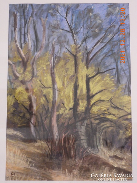 Kiss Márton - Somvirágos erdő című festménye
