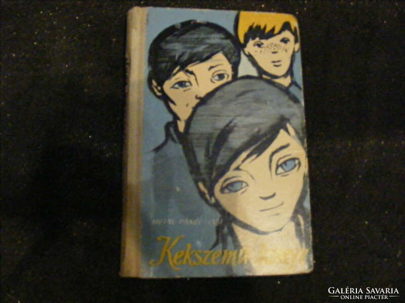 Octav Pancu-iasi blue-eyed book, Bucharest 1955-58 edition