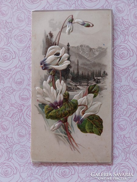 Régi képeslap 1906 dombornyomott virágos nyitható levelezőlap ciklámen