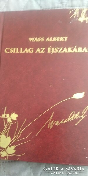 Vass Albert Csillag az ejszakaban