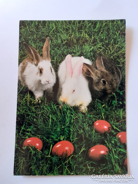 Retro húsvéti képeslap nyuszi fotó levelezőlap