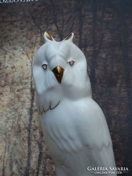 Anita porcelain 23 cm owl