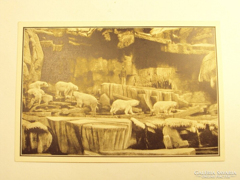 Old postcard postcard - in the polar bears' cave - published by the Székesfóváros zoo