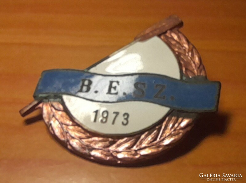 Budapest Rowing Association 1973 badge. There is mail!