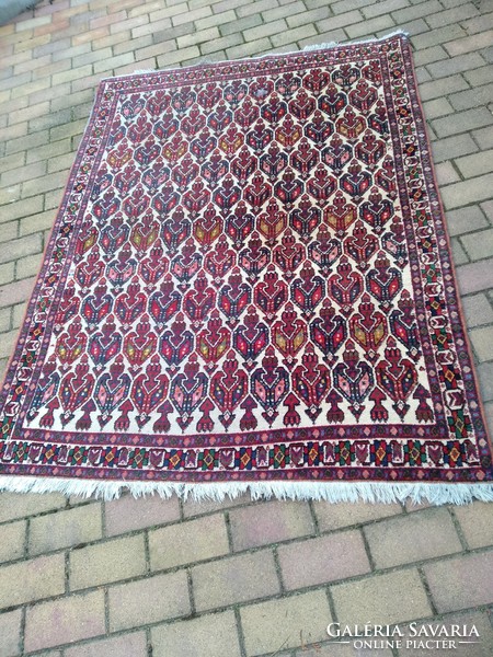 Carpet, Indian, hand-knotted, wool
