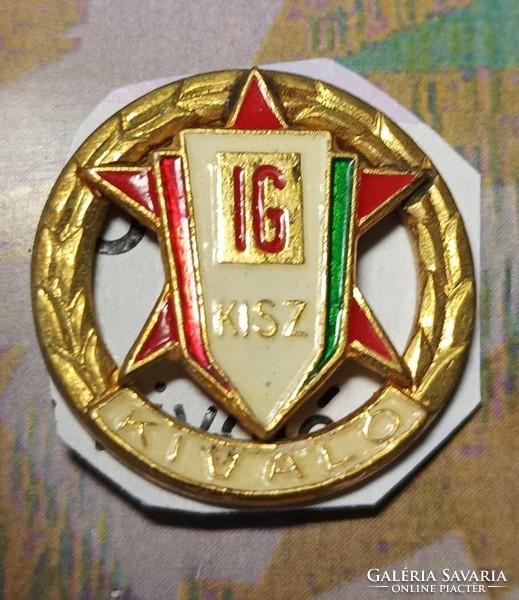 Excellent Youth Guard badge v605