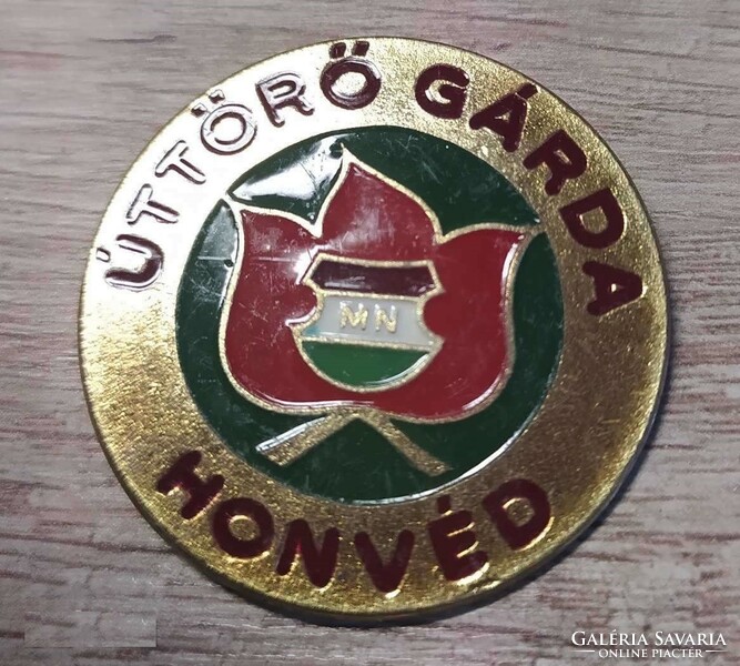Pioneer Guard Home Guard v264