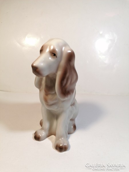 Ravenclaw porcelain dog, spaniel (894)