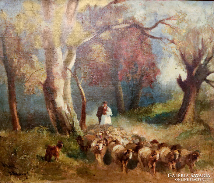 István Bélaváry Burchard - shepherd with a flock of sheep