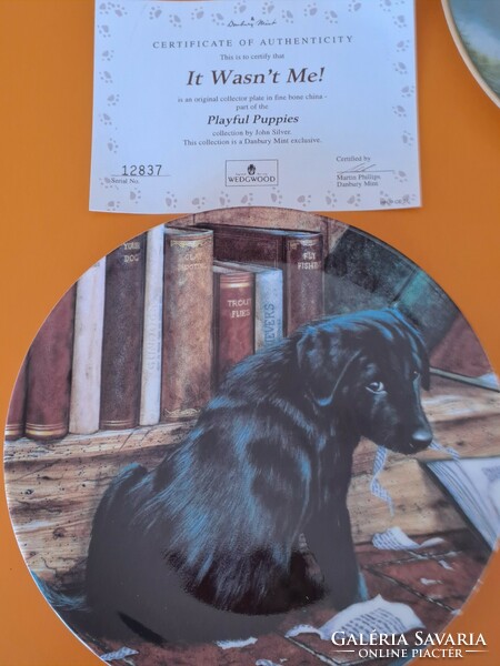 Wedgwood vintage angol csontporcelán dísztányérok certifikációval fekete labradorokról 20.5 cm