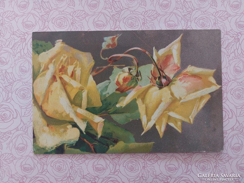 Régi virágos képeslap levelezőlap sárga rózsa