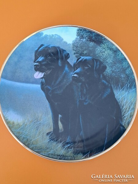 Franklin as English fine vintage bone china decorative plate about black labradors 20.5 Cm