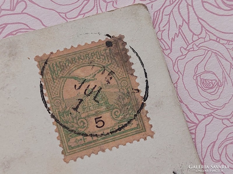 Régi képeslap 1904 művészeti levelezőlap gyümölcs csendélet szilva körte