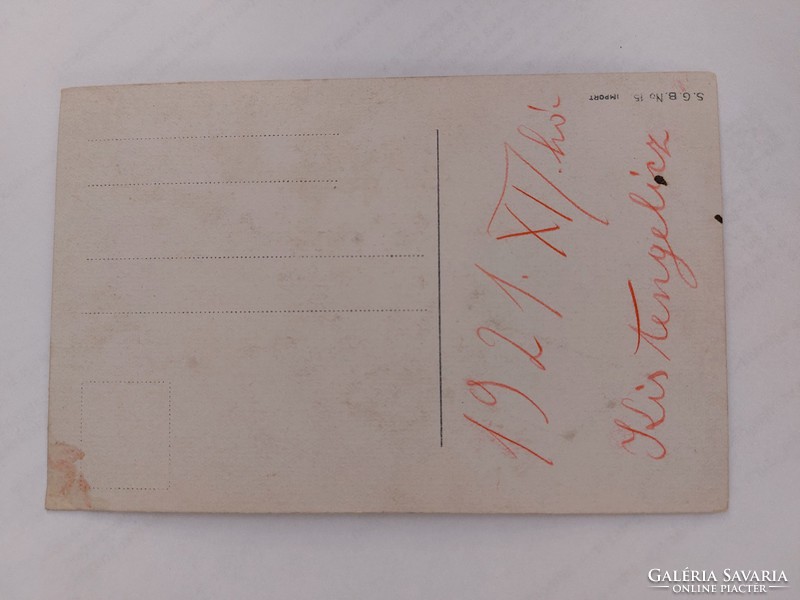 Régi virágos képeslap 1921 levelezőlap szegfű