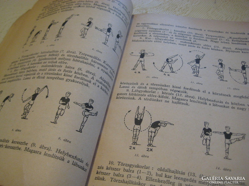 The fitness of the football player 1956, written by: Kerezsi - sárkány