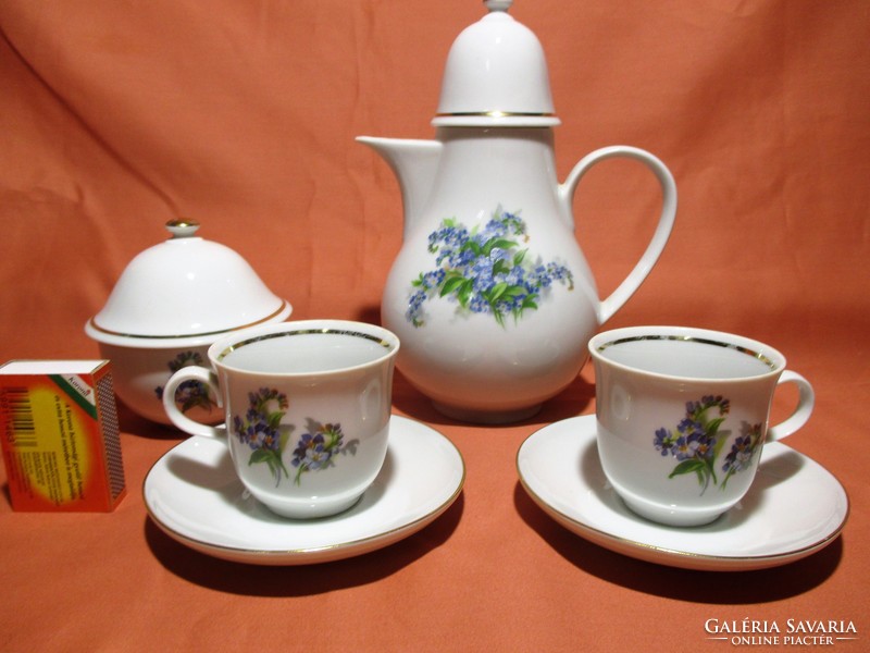 Beautiful forget-me-not coffee set, pouring cup, sugar bowl