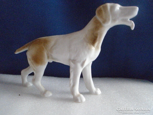 Large German hunting dog in perfect display case 18 x 14 cm