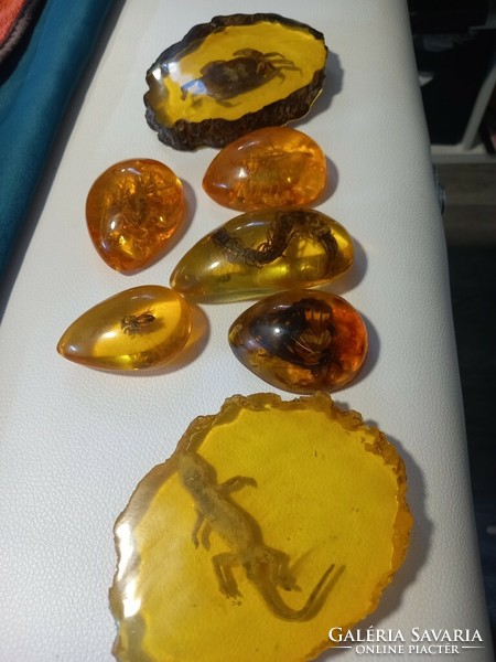 Sumatra amber with animals (coal resin)
