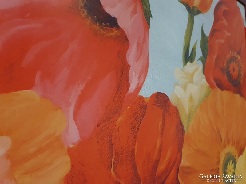 Színes tulipánok - virágok képsorozat