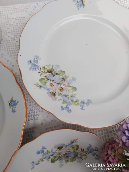 Old Zsolnay porcelain forget-me-not marguerite plates flat plate deep plate