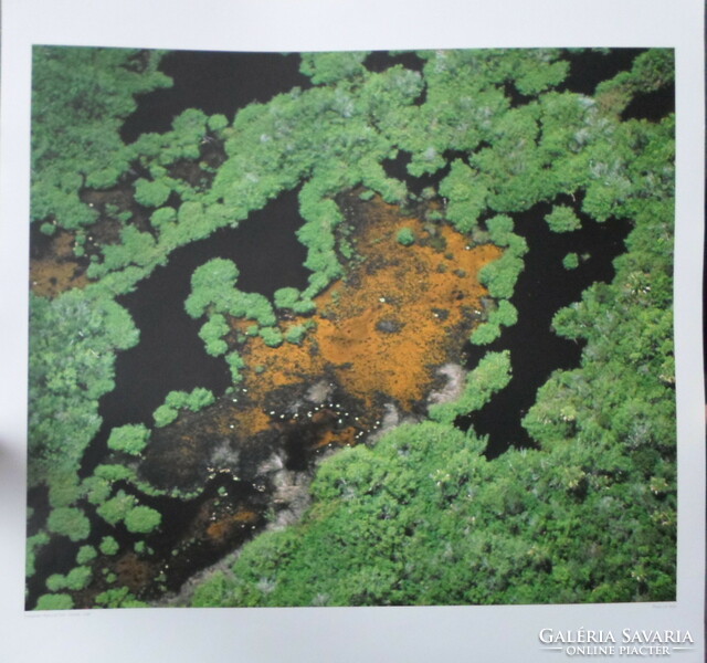 Poster 29.: Everglades National Park, Florida, USA (photo)