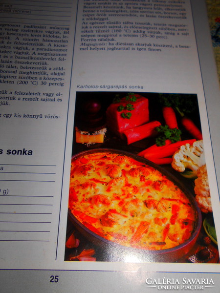 --- Lajos mari, károly hemző: 99 single dishes with 33 color food photos