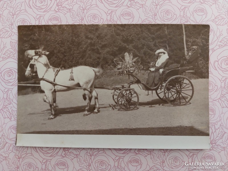 Régi képeslap fotó levelezőlap lovas hintó