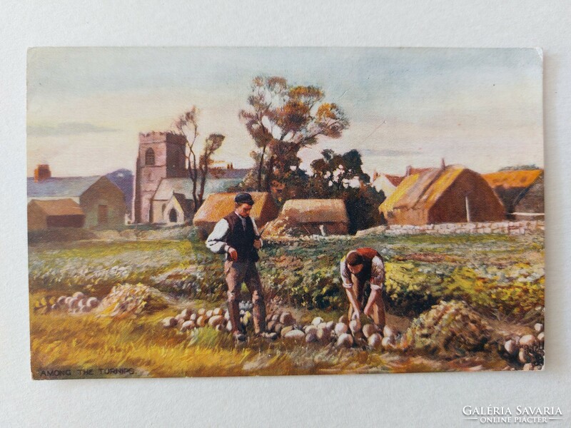 Old postcard postcard crop cultivation