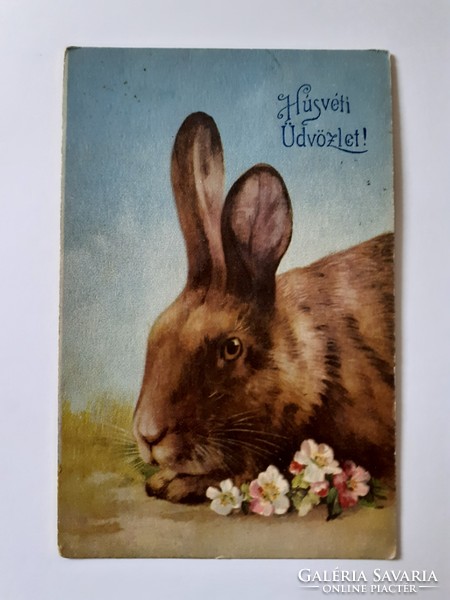 Régi húsvéti képeslap 1926 nyuszis levelezőlap