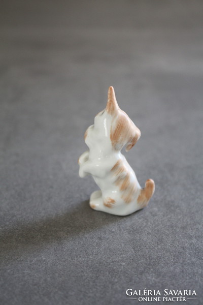 Aquincum  porcelán kiskutyus, kutya -szép hibátlan állapotban