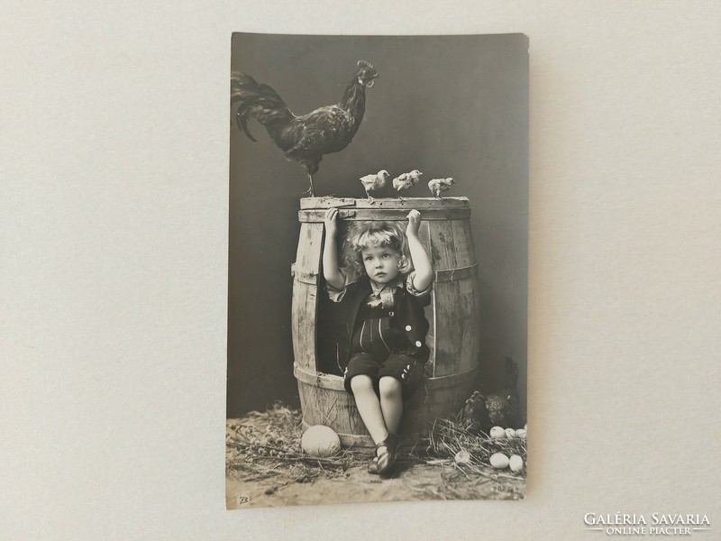 Régi húsvéti képeslap fotó levelezőlap kisfiú csirke hordó