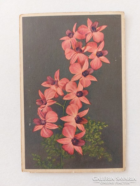Régi virágos képeslap levelezőlap
