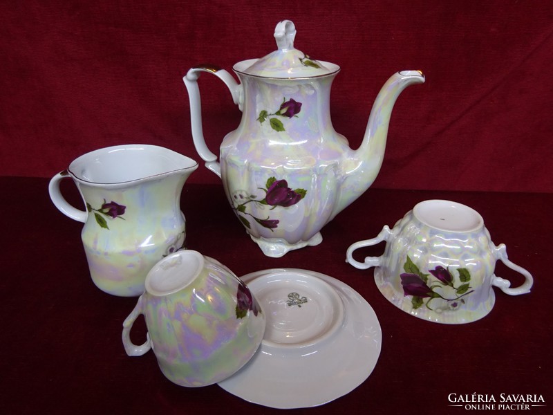 Walbrzych Glazed Polish Porcelain Tea Set Diameter ??? 25 pieces, rose pattern. He has!