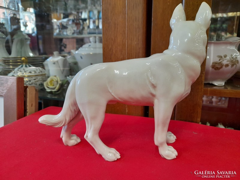 Old capodimonte 1830-1890 German shepherd dog porcelain figurine.