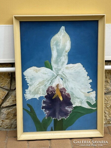 Béla Tilles (1932 -): orchid 86x61cm