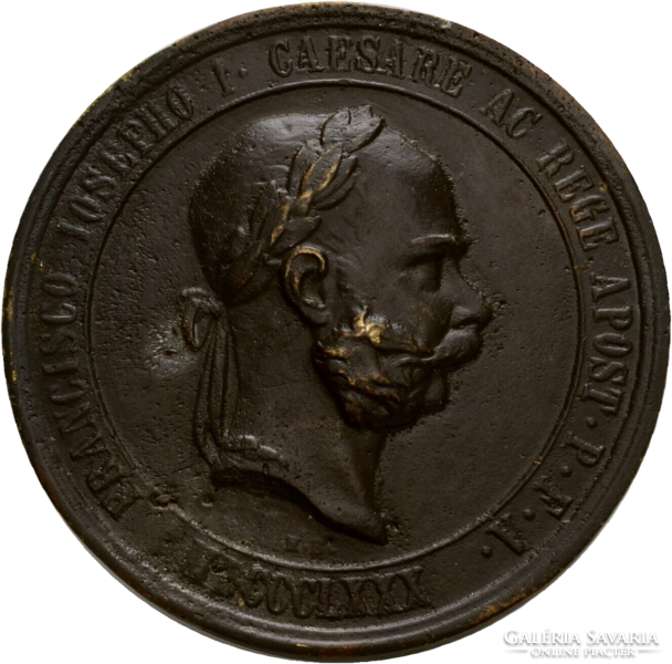 1880 Ferenc József Budapest egyetem,165gr!! bronz