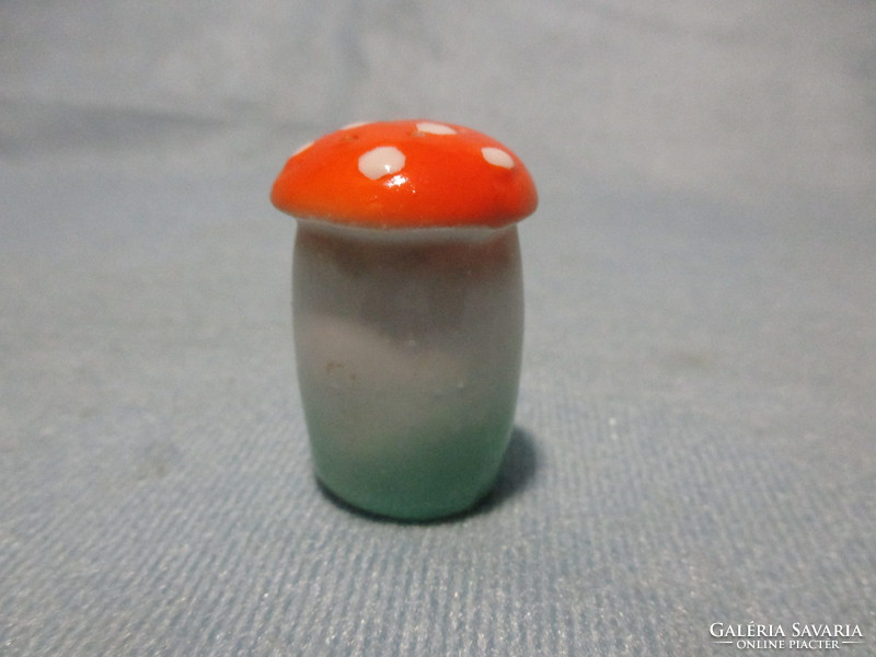 Rare tiny mushrooms in salt shaker, salt shaker, spice rack