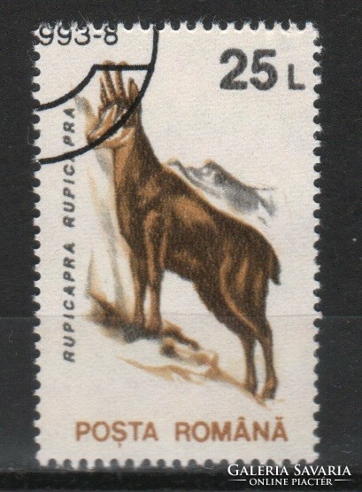Állatok 0348 Román