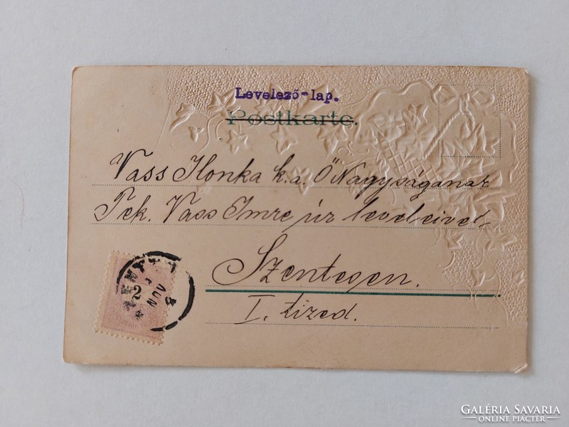Régi képeslap 1899 dombornyomott levelezőlap borostyán