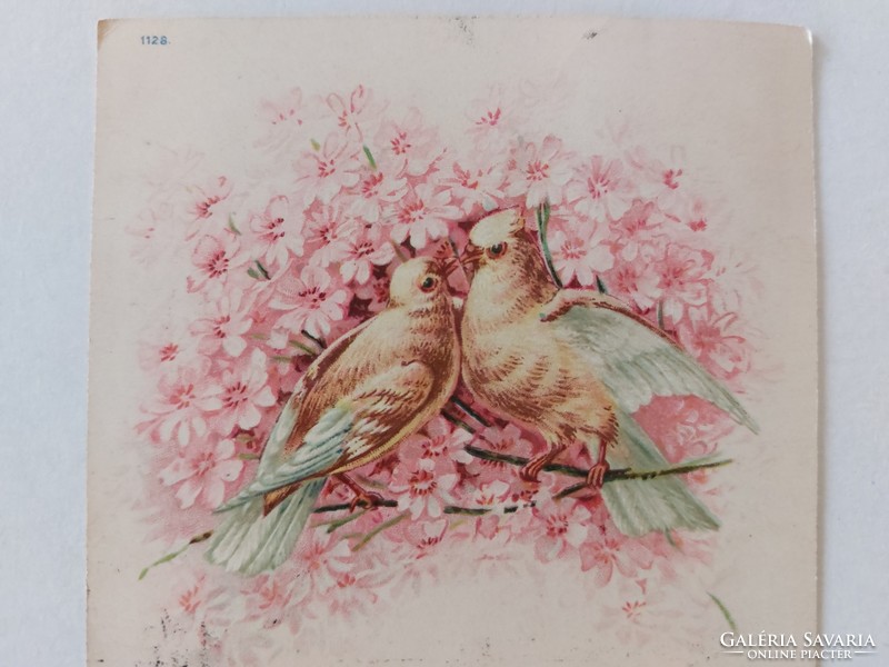 Régi képeslap 1900 levelezőlap galambok rózsaszín virágok