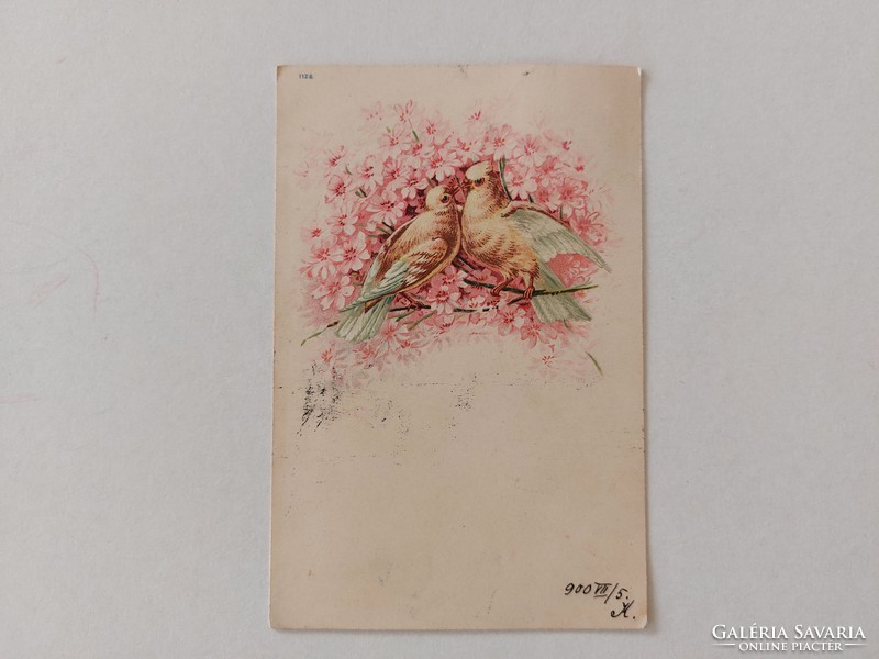 Régi képeslap 1900 levelezőlap galambok rózsaszín virágok