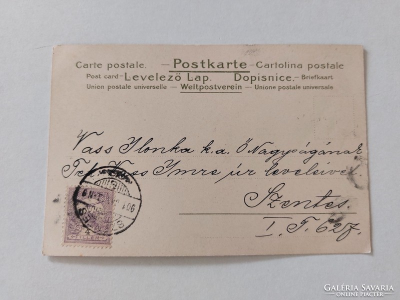 Régi képeslap 1901 levelezőlap nefelejcs szív